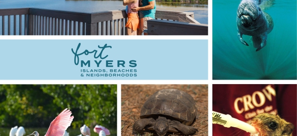 Fort Myers – Islands, Beaches &amp; Neighborhoods: Ein Paradies für Tiere – ein Erlebnis für Besucher